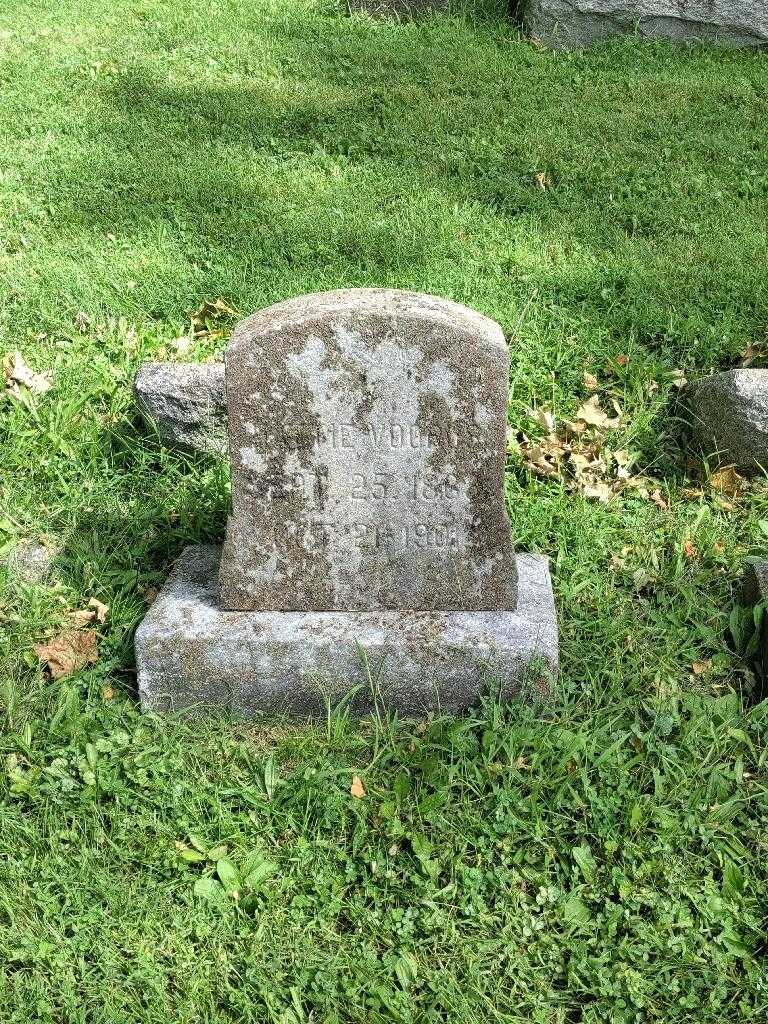 Hathe Voorus's grave. Photo 2