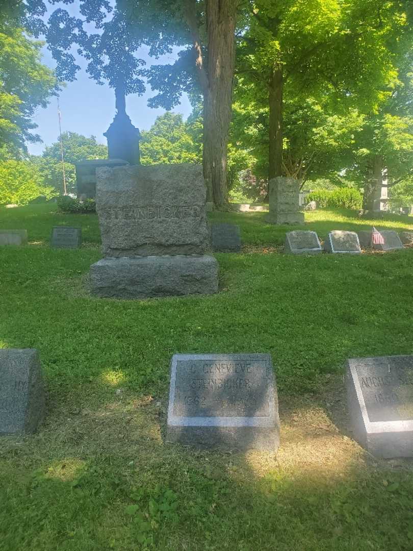 C. Genevieve Steinbicker's grave. Photo 1