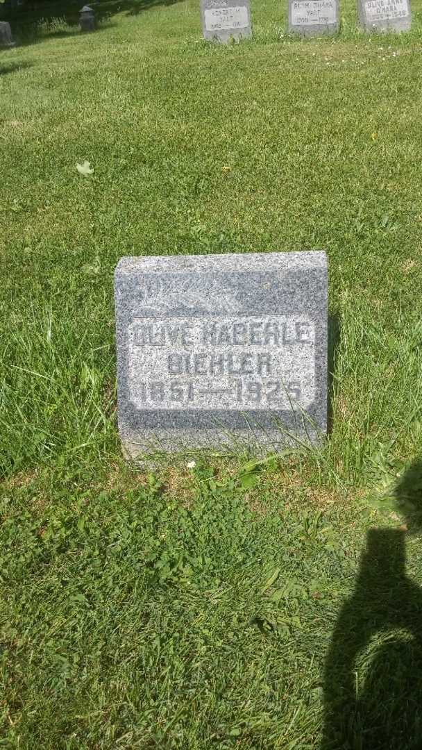 Olive Haberle-Biehler's grave. Photo 3