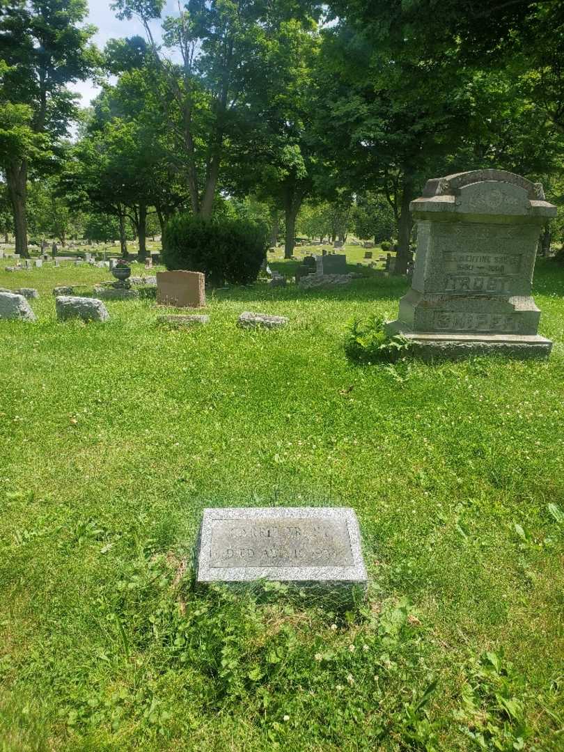 Carrie Trost's grave. Photo 1