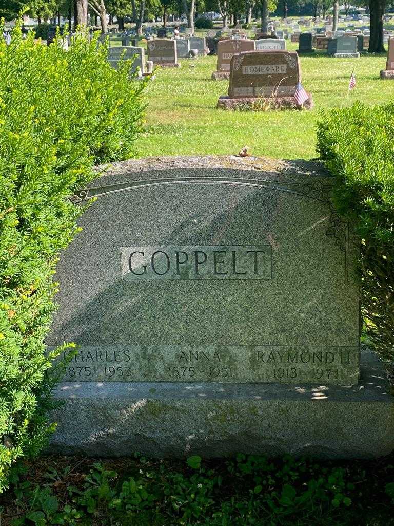 Charles Goppelt's grave. Photo 3