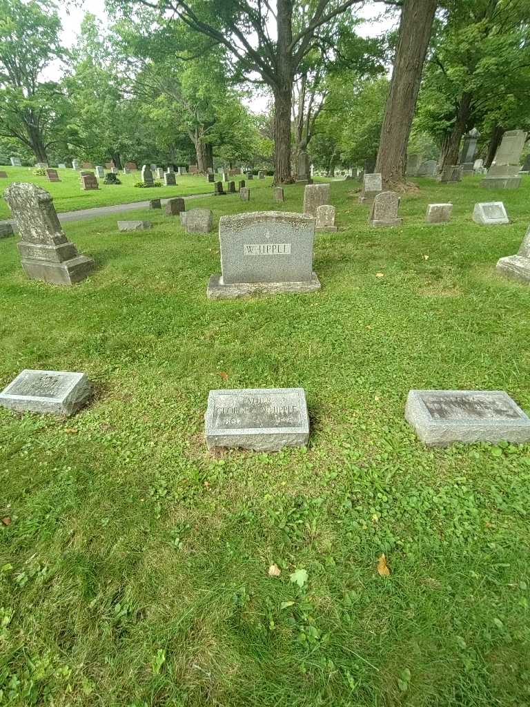 George A. Whipple's grave. Photo 2