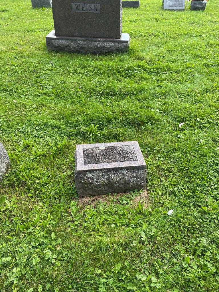 William F. Weiss's grave. Photo 2