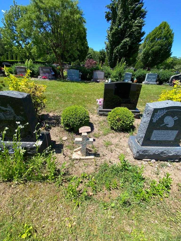 Richard Capozza's grave. Photo 1