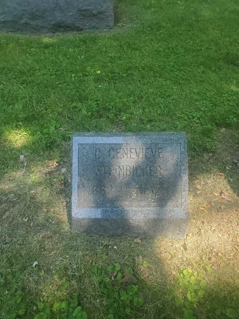 C. Genevieve Steinbicker's grave. Photo 2
