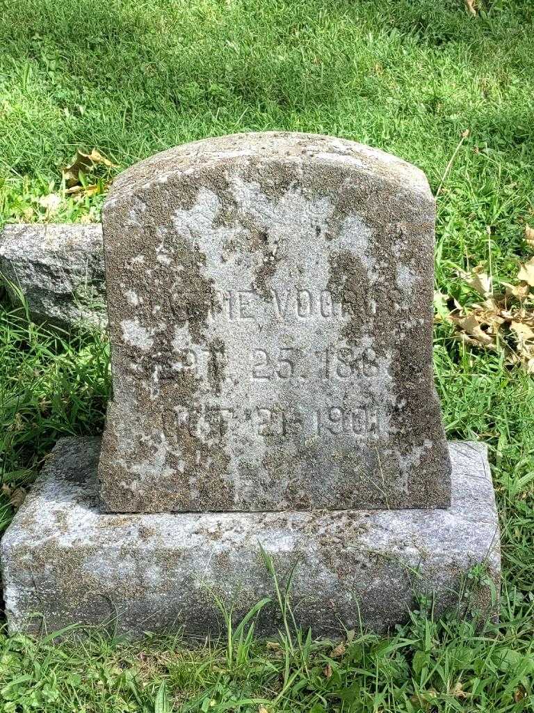 Hathe Voorus's grave. Photo 3