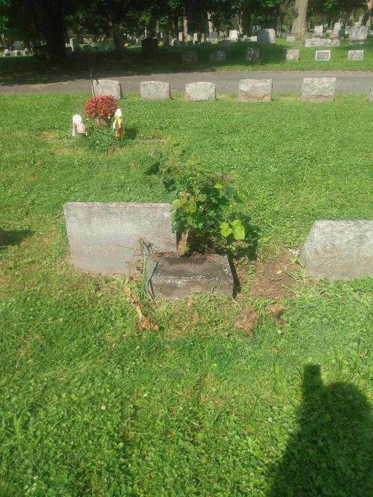 Gustave A. Lang's grave. Photo 1