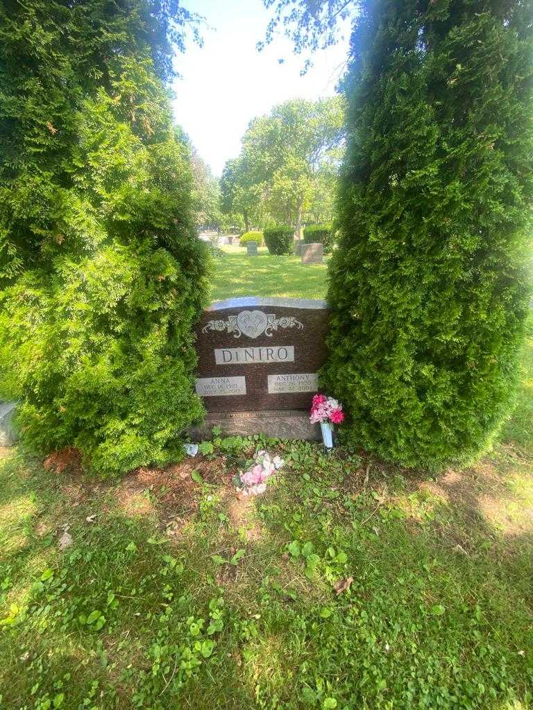 Anthony Di Niro's grave. Photo 1