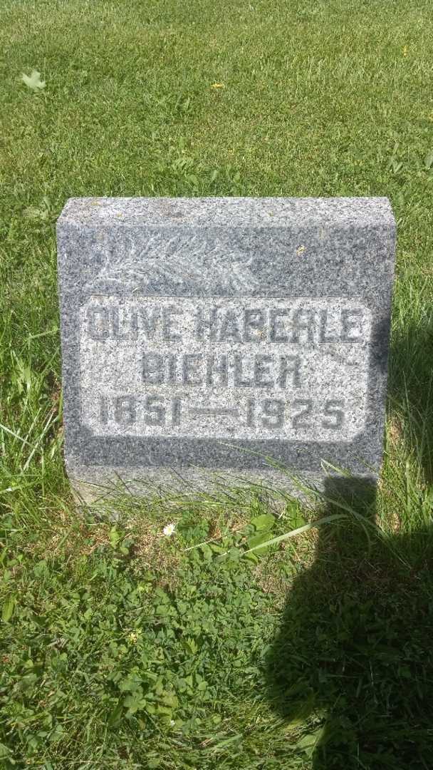 Olive Haberle-Biehler's grave. Photo 4
