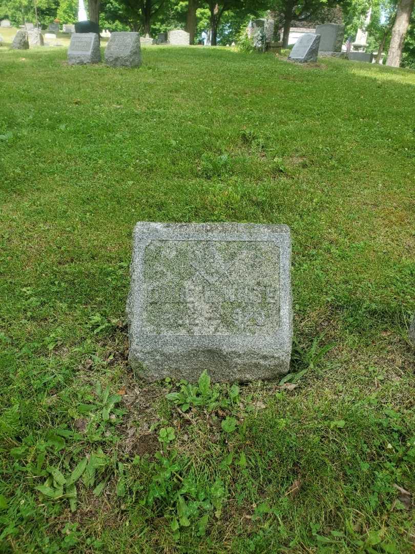 Ollie E. White's grave. Photo 2