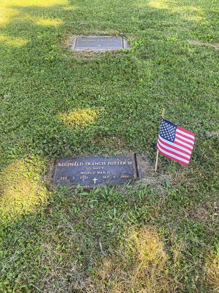 Reginald Francis Potter Junior's grave. Photo 2