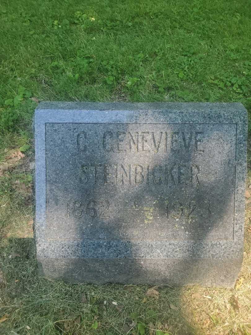 C. Genevieve Steinbicker's grave. Photo 3