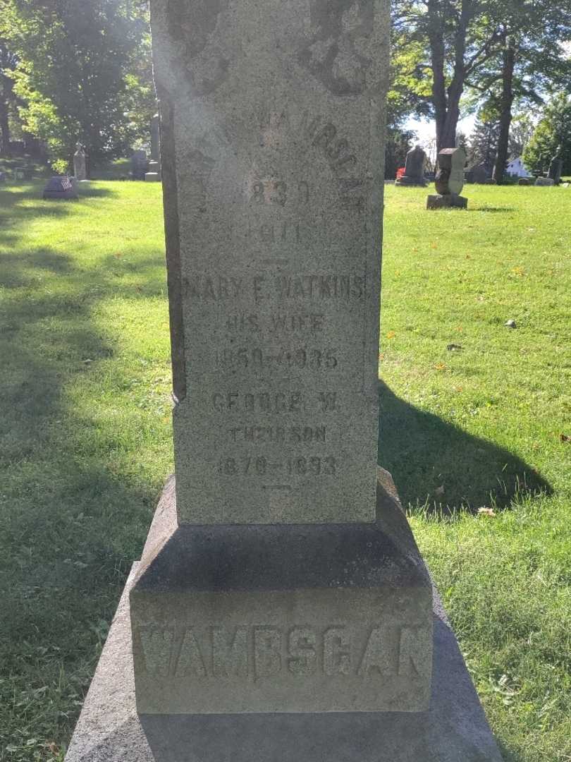 Martin Wambsgan's grave. Photo 3