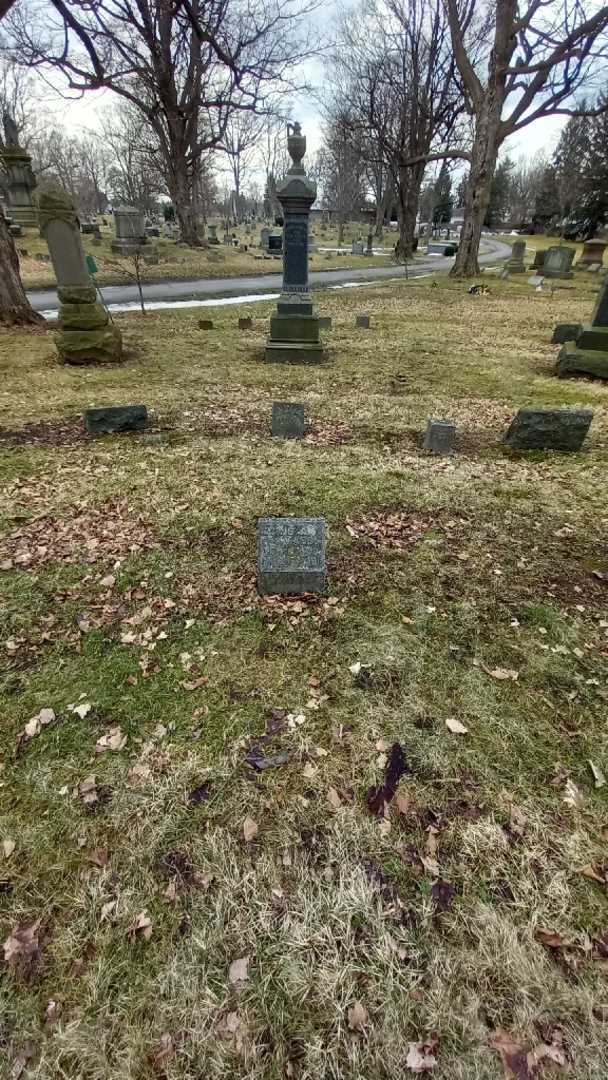 Lewis A. Mason's grave. Photo 1