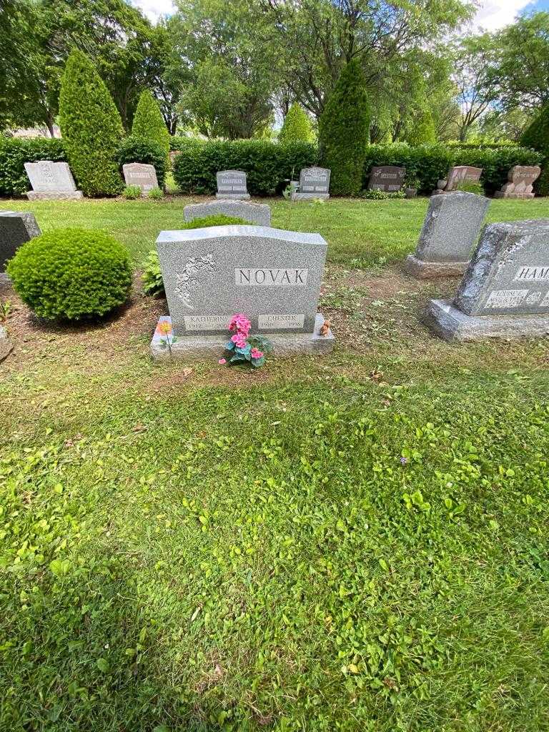 Chester Novak's grave. Photo 1