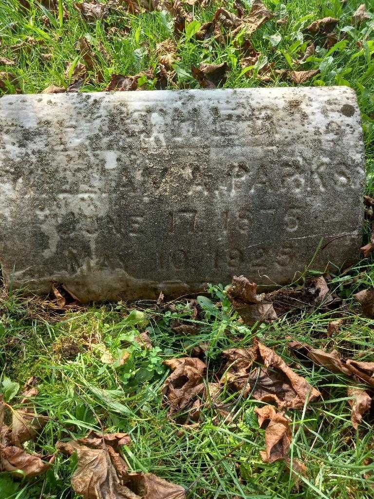 William A. Parks's grave. Photo 2