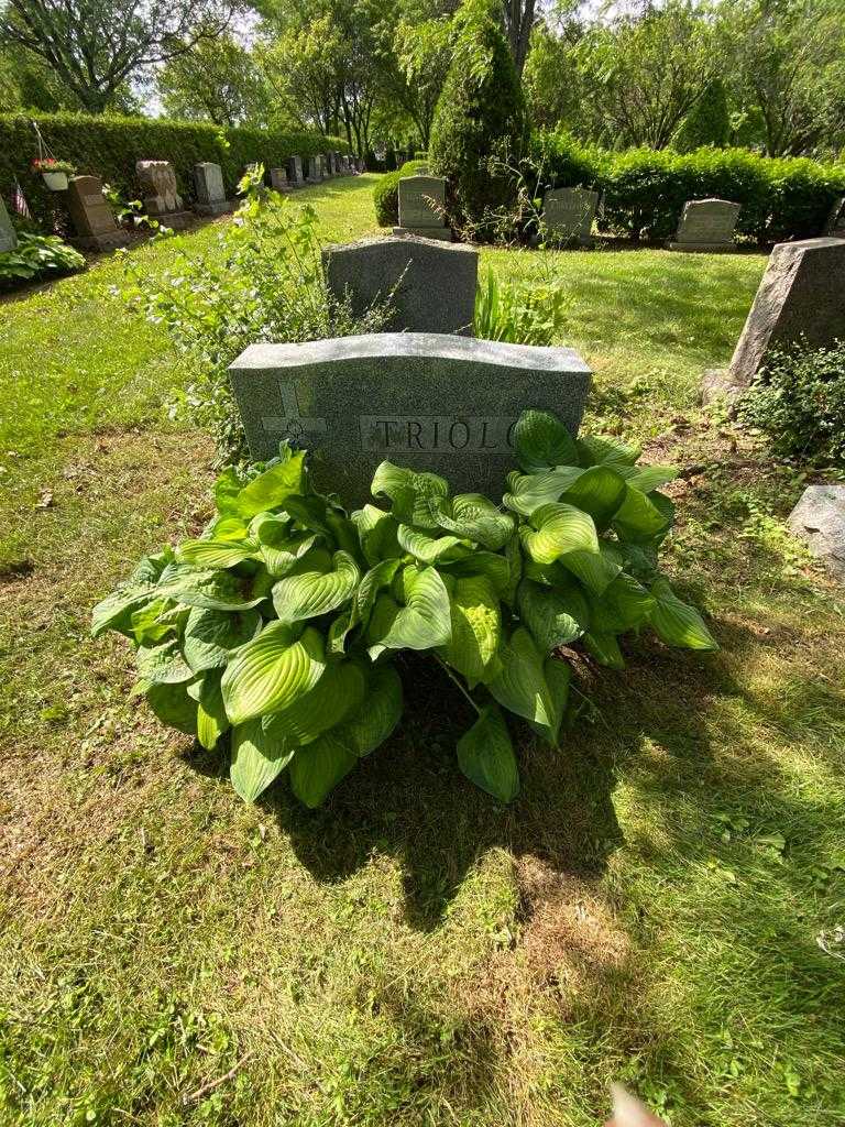 Joseph Triolo's grave. Photo 1