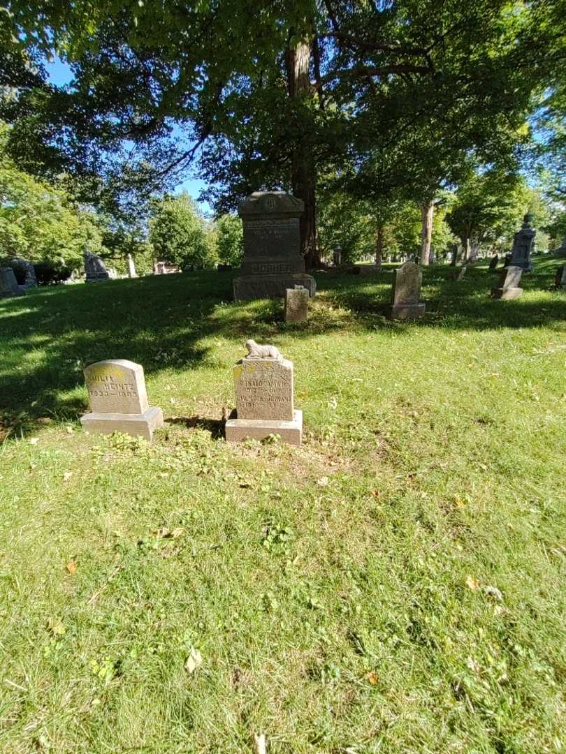Emerson E. Schwanz's grave. Photo 1