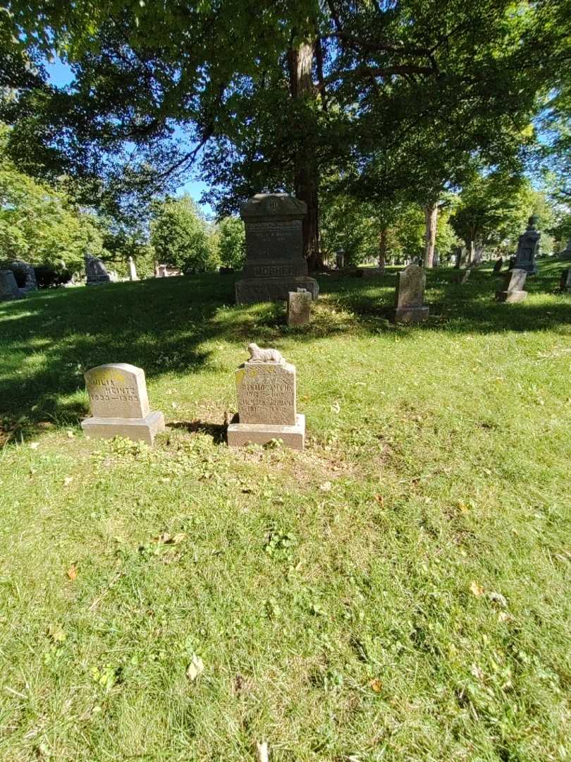 Donald C. Tamkin's grave. Photo 1