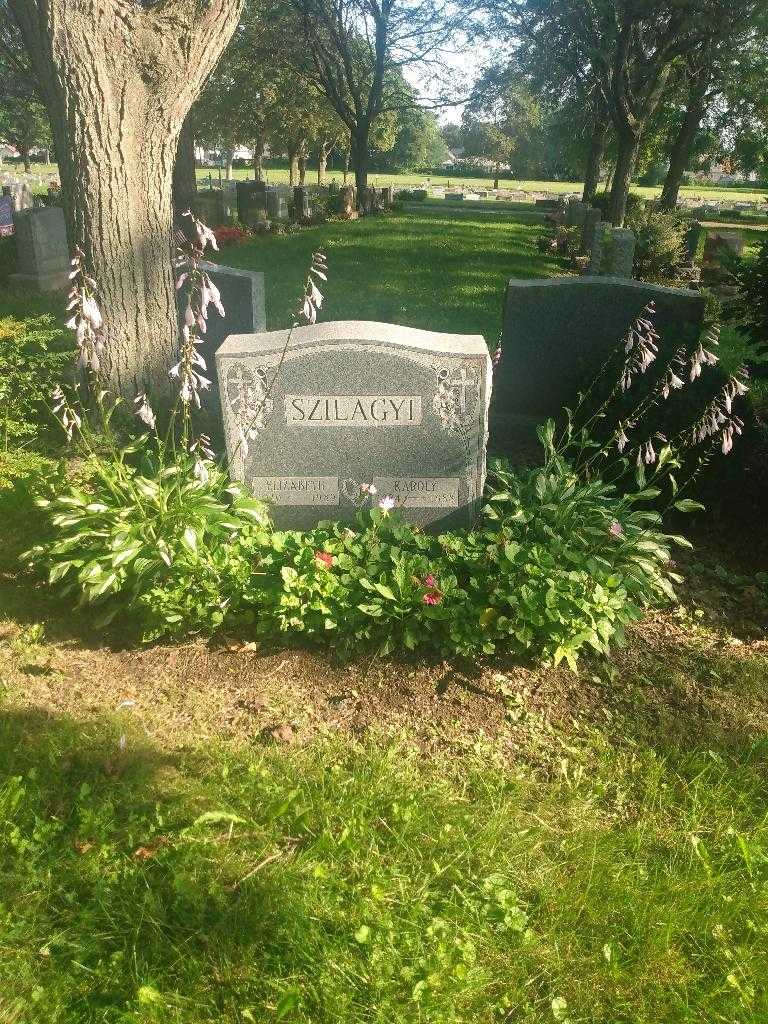 Karoly Szilagyi's grave. Photo 1