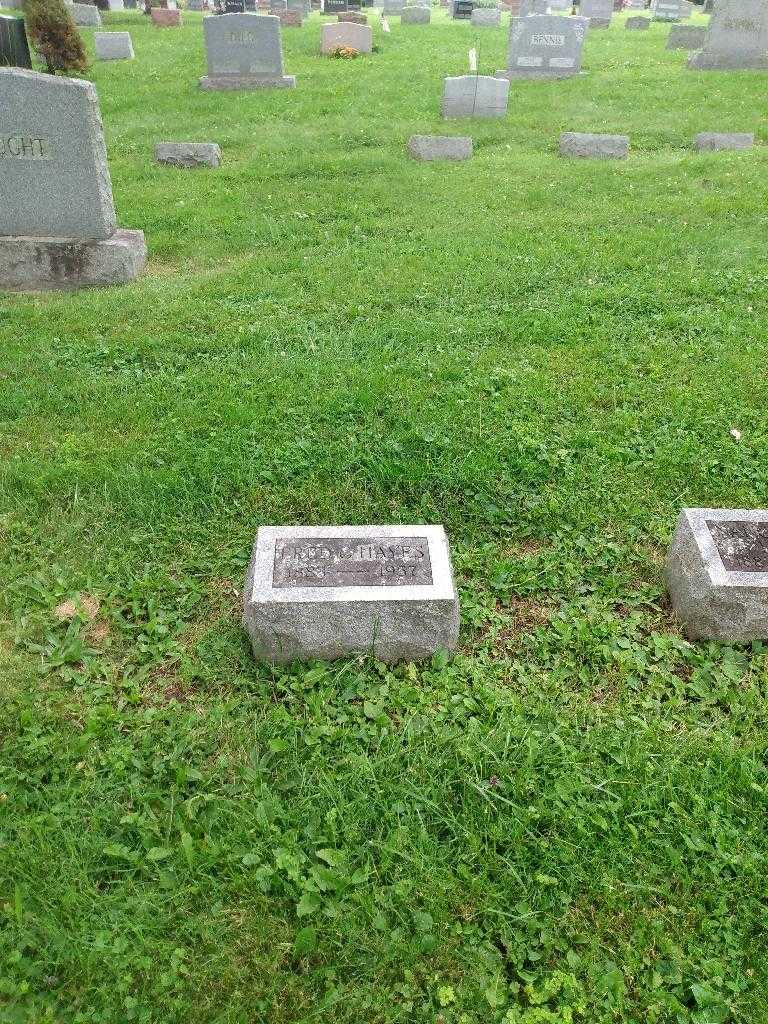 Fred G. Hayes's grave. Photo 1