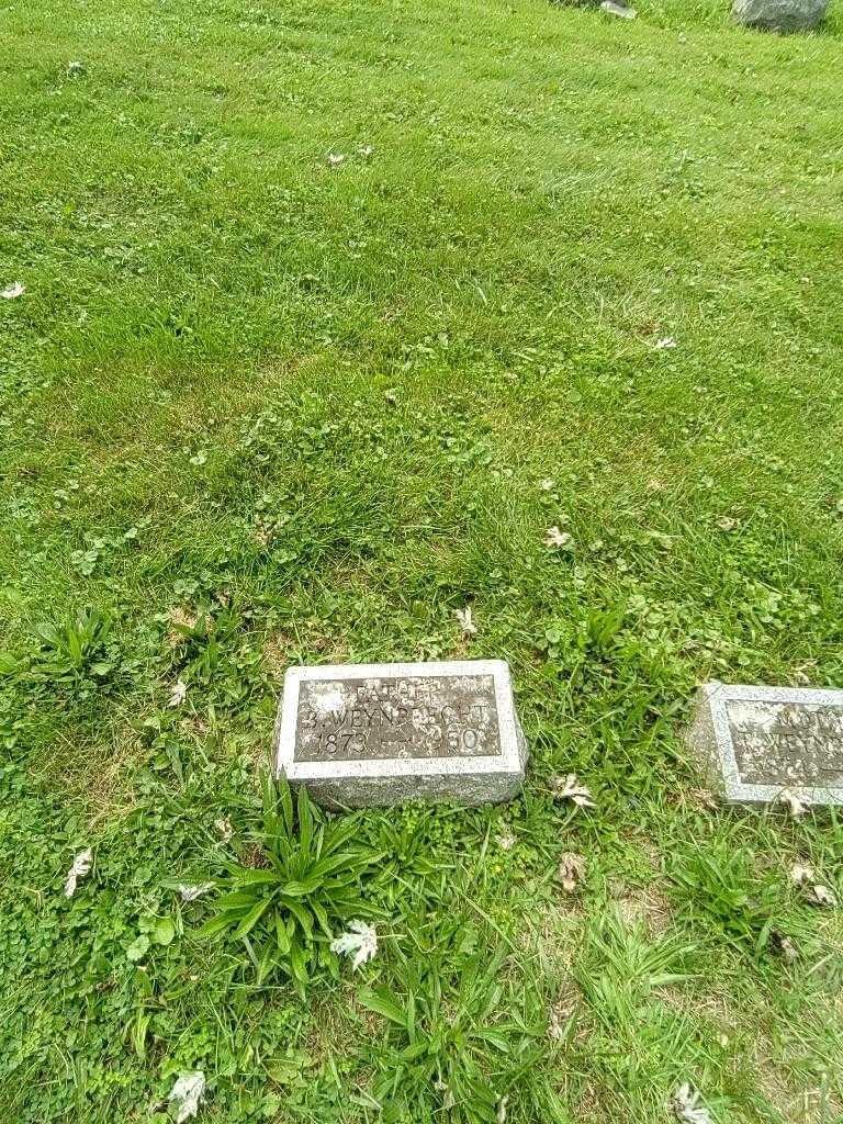 Bruno Weynprecht's grave. Photo 1