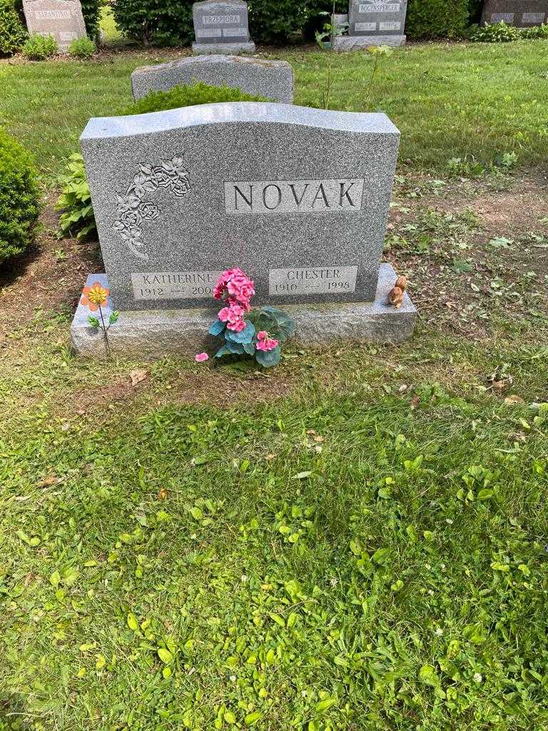 Chester Novak's grave. Photo 2