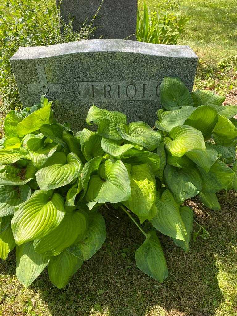 Joseph Triolo's grave. Photo 2