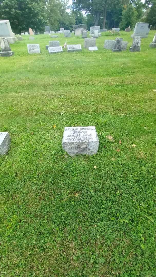 Ottilie Schnell Donath's grave. Photo 1