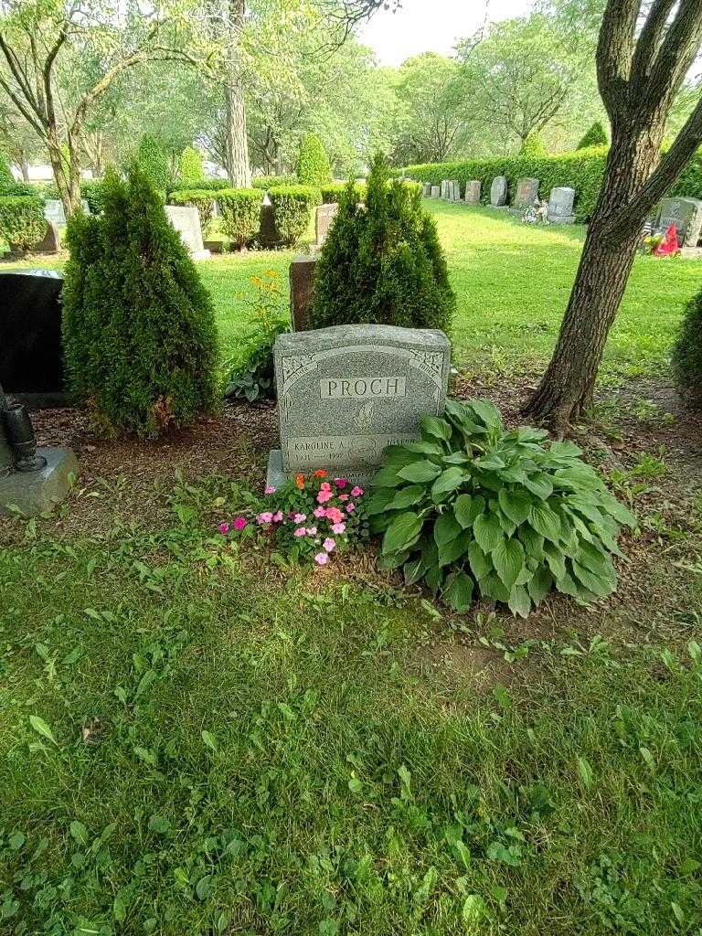 Karoline A. Proch's grave. Photo 2
