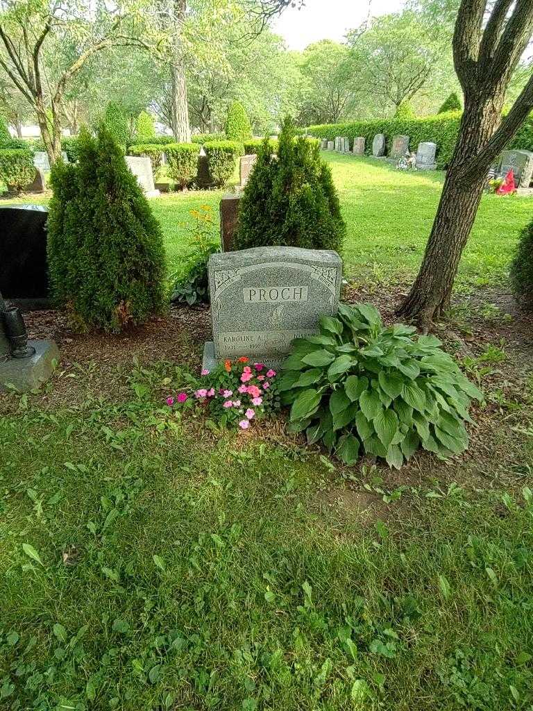 Joseph J. Proch's grave. Photo 2