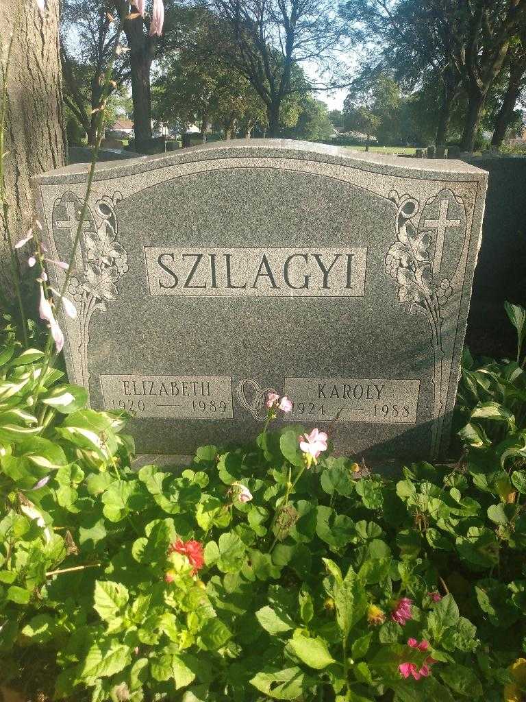 Karoly Szilagyi's grave. Photo 2