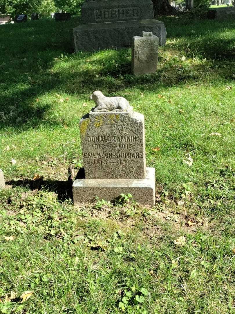 Emerson E. Schwanz's grave. Photo 2