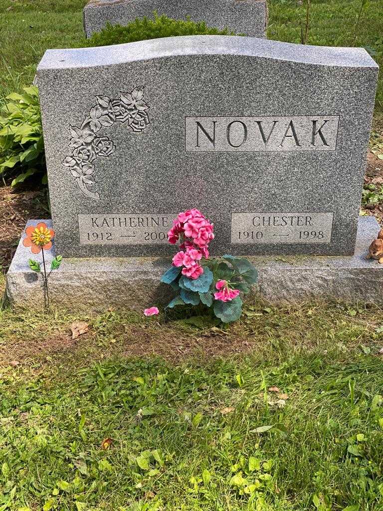 Chester Novak's grave. Photo 3