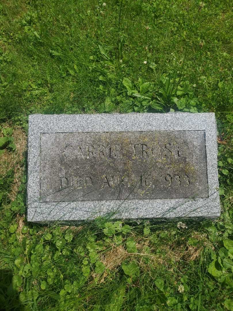 Carrie Trost's grave. Photo 3