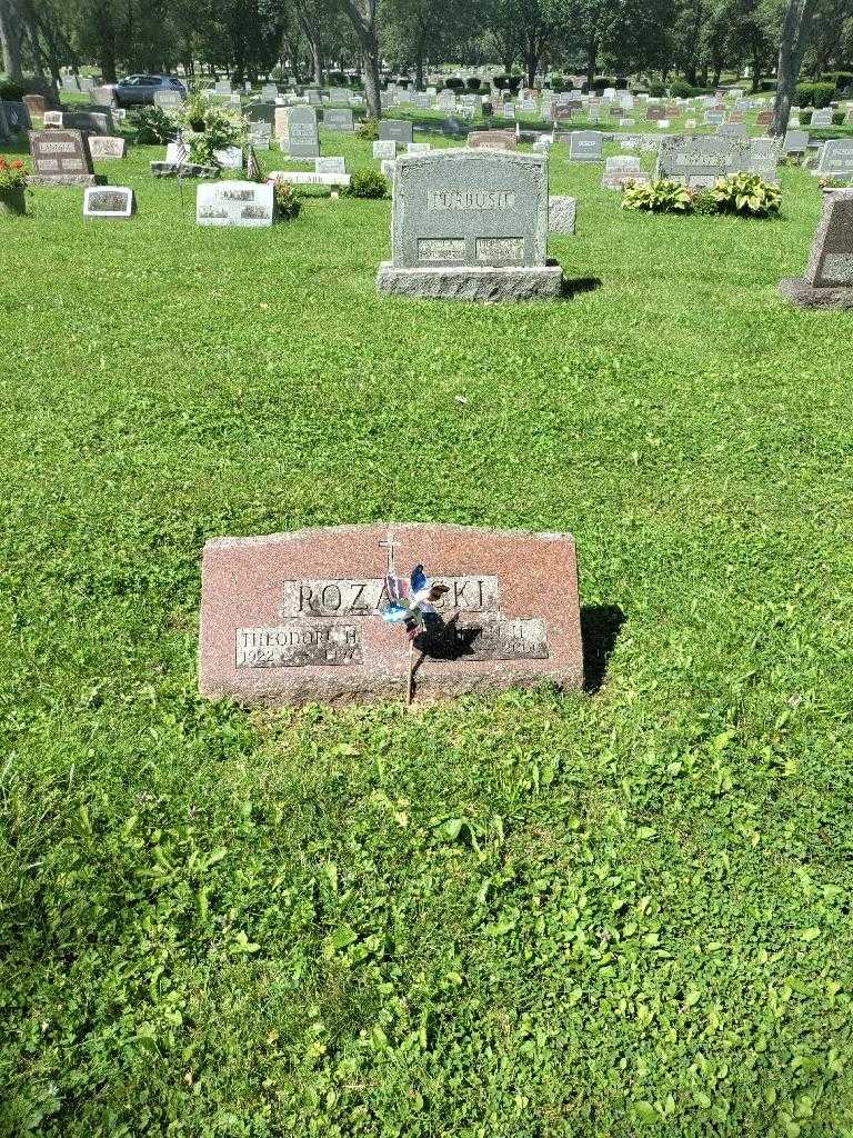 Theodore H. Rozanski's grave. Photo 1