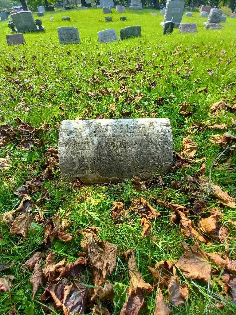 William A. Parks's grave. Photo 3