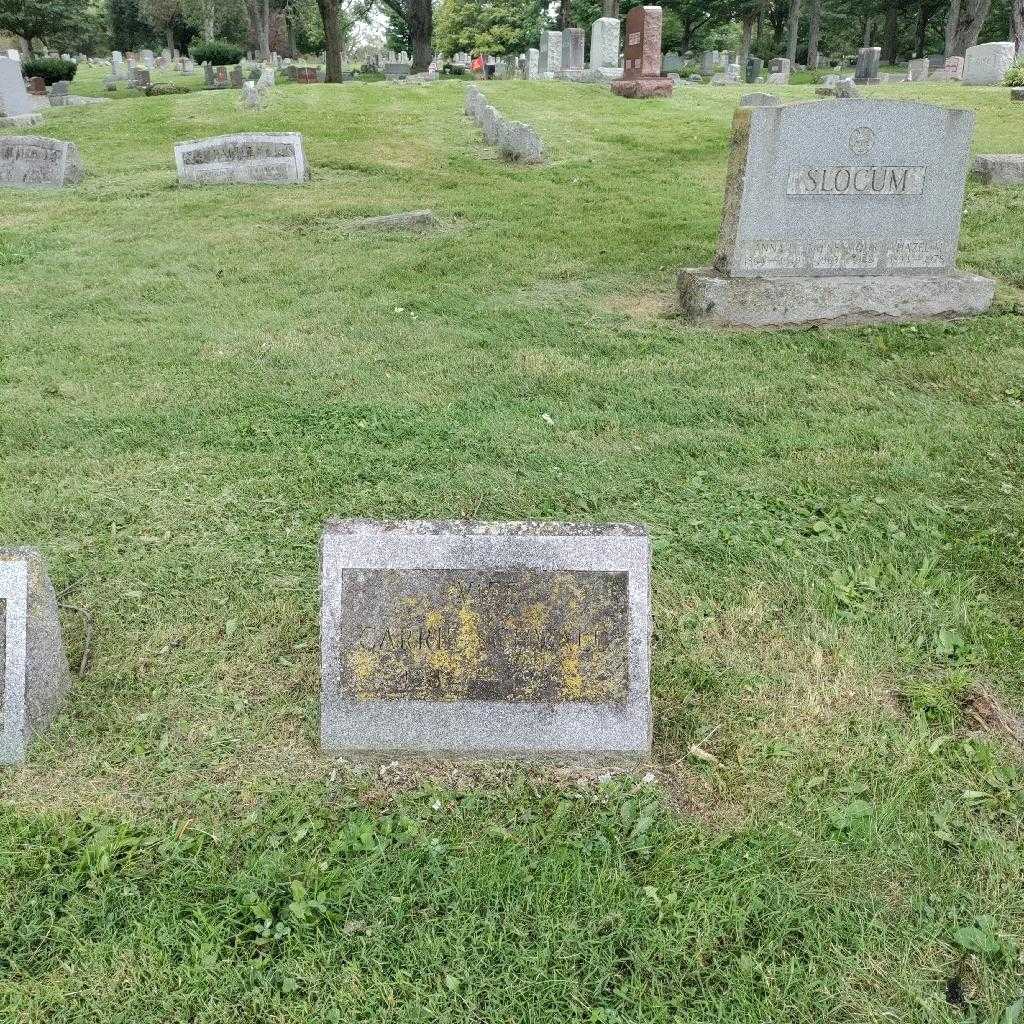 Carrie B. Schwald's grave. Photo 1
