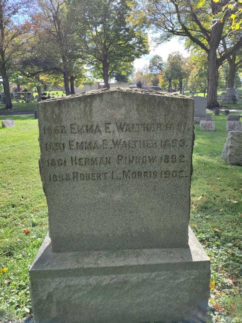 Robert Lester Morris's grave. Photo 2