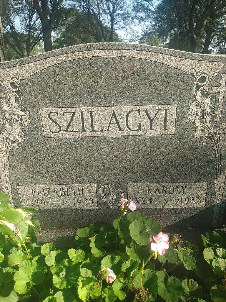 Karoly Szilagyi's grave. Photo 3