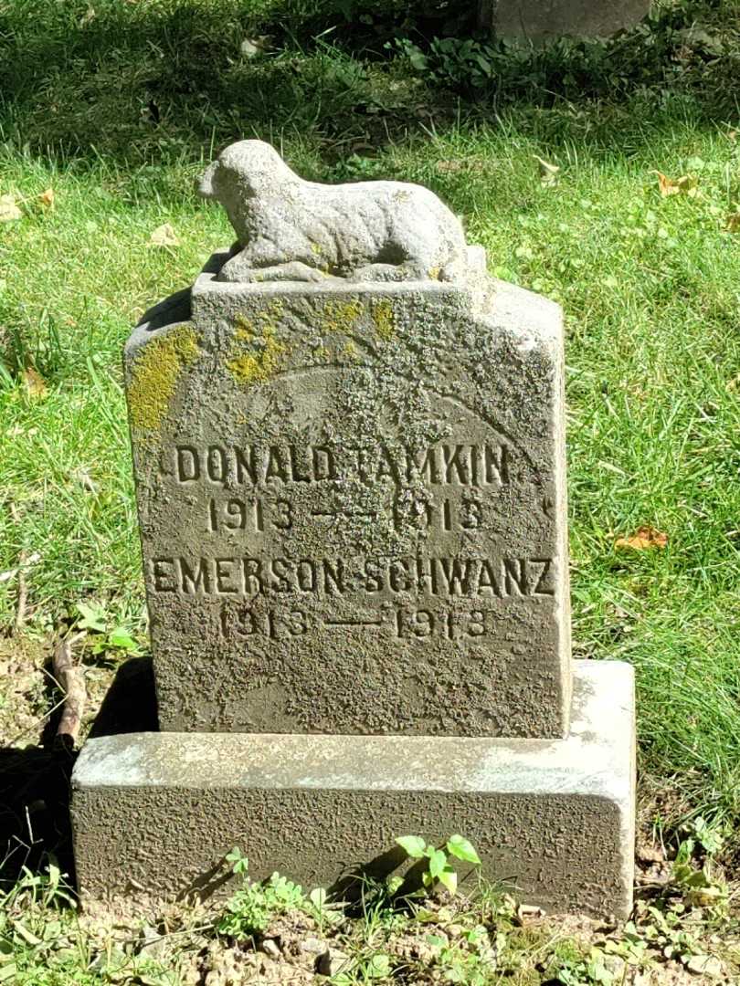 Emerson E. Schwanz's grave. Photo 3