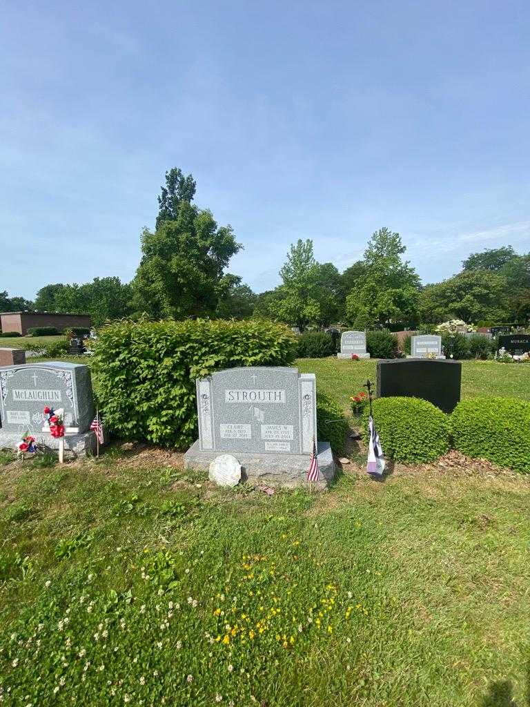 James W. Strouth's grave. Photo 1