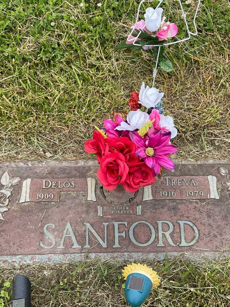 Treva Sanford's grave. Photo 3