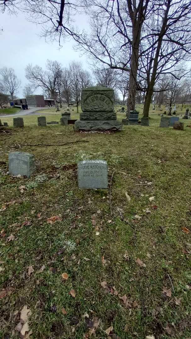 Eugene N. Stevens's grave. Photo 2