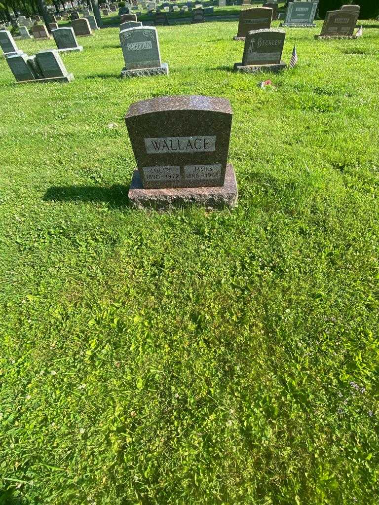 Louise Wallace's grave. Photo 1