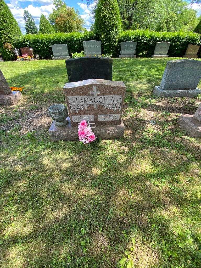 Anthony Lamacchia's grave. Photo 1