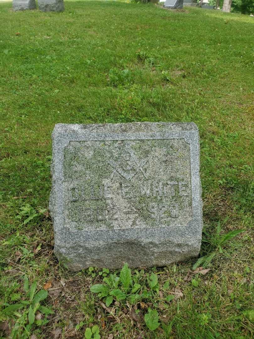 Ollie E. White's grave. Photo 3