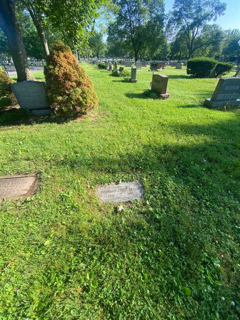 Addison J. Fitzgerald's grave. Photo 1