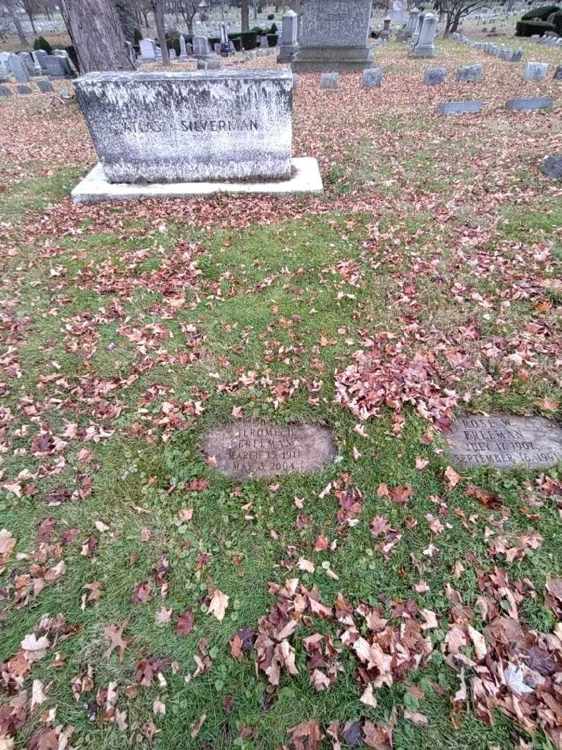 Jerome H. Freeman's grave. Photo 1