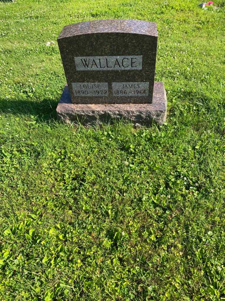 Louise Wallace's grave. Photo 2